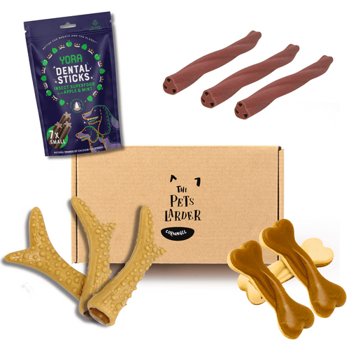 Letter Box Dental Chew Bundle - Natural Chews for Dogs - Natural Treats For Dogs