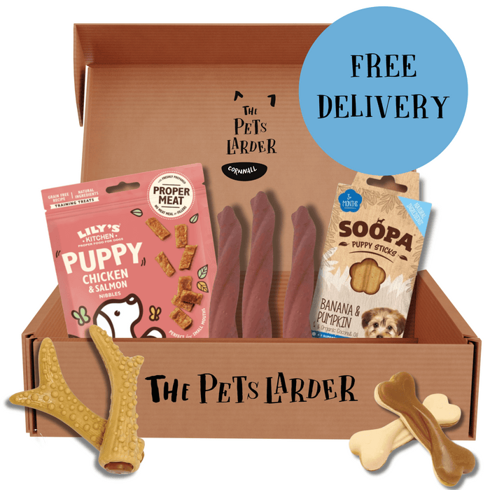 Letter Box Puppy Chew Bundle - Natural Chews for Dogs - Natural Treats For Dogs