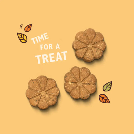 Lily's Kitchen Breaktime Biscuits 80g Dog Treats Lily's Kitchen
