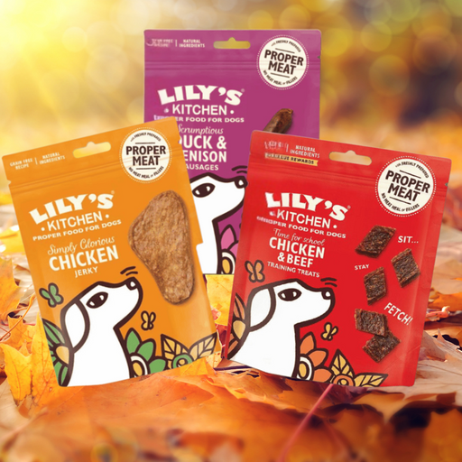 Lily’s Kitchen Mega Meaty Bundle - Natural Treats For Dogs