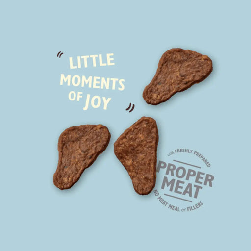 Lily's Kitchen The Mighty Duck Mini Jerky Dog Treats Lily's Kitchen