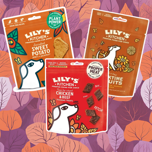 Lily’s Kitchen Treat Bundle