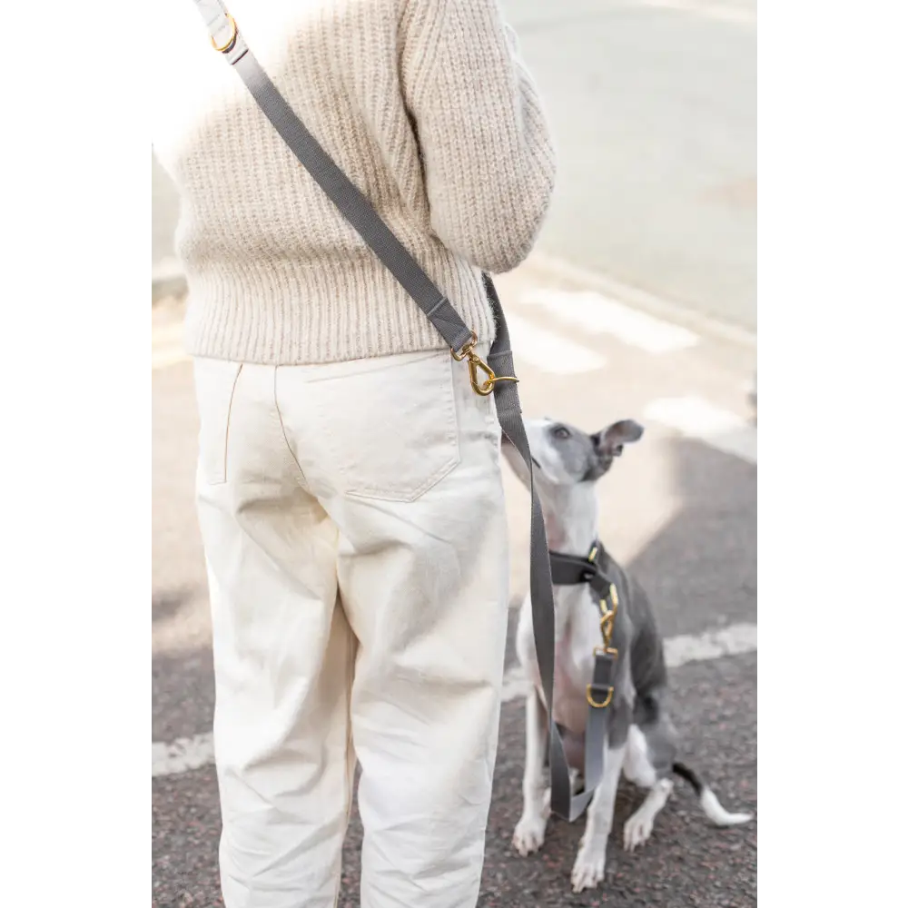 Long Cotton Multi Lead - Pet Collars & Harnesses