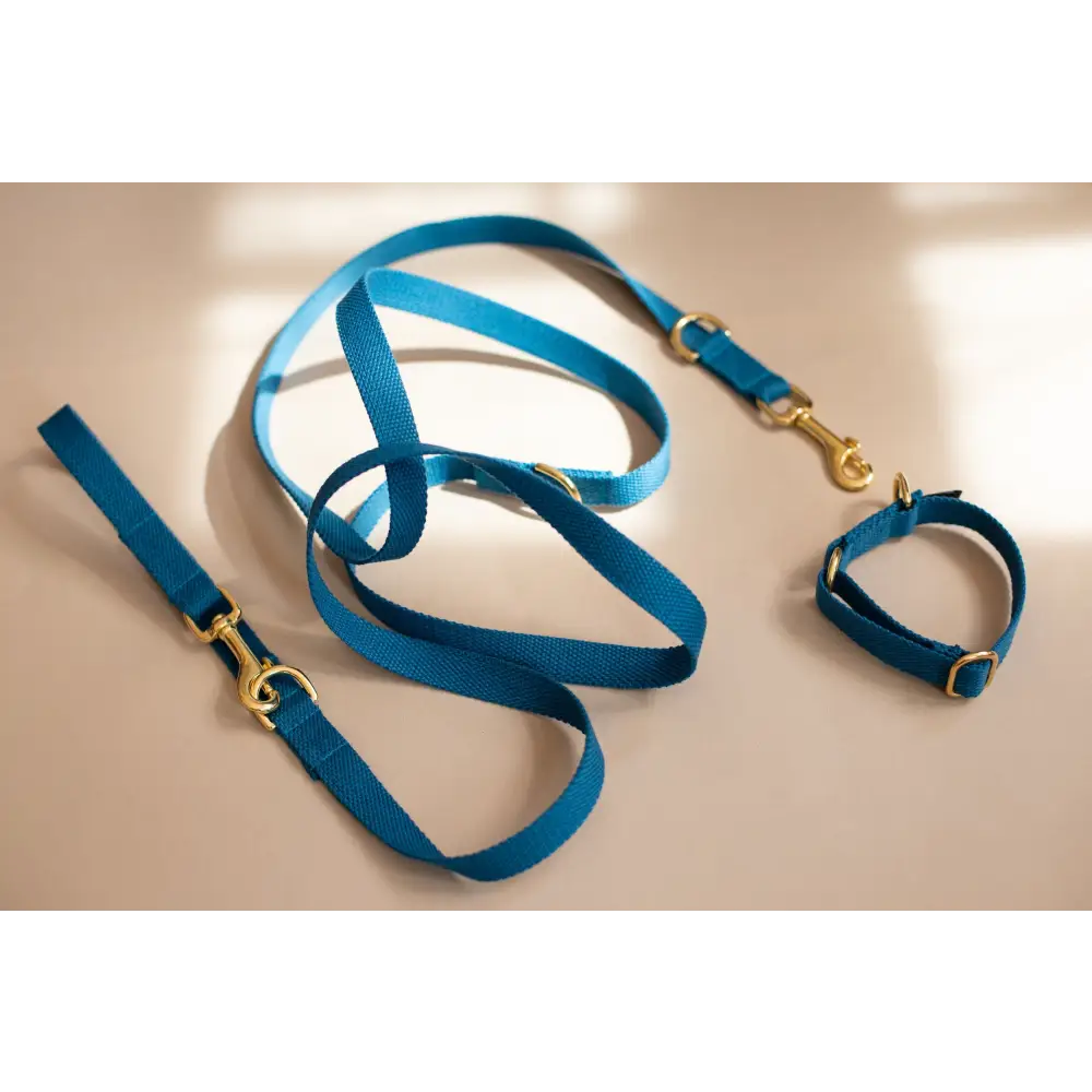 Long Cotton Multi Lead - Pet Collars & Harnesses