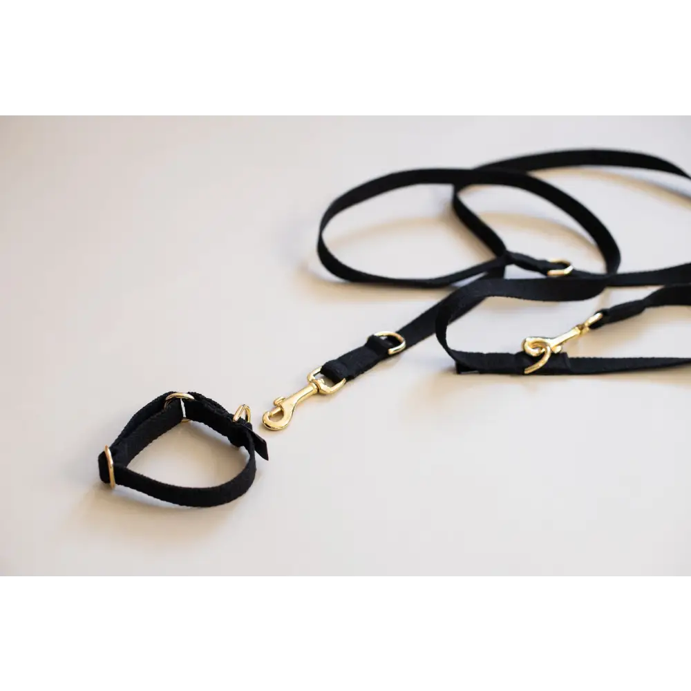 Long Cotton Multi Lead - Pet Collars & Harnesses