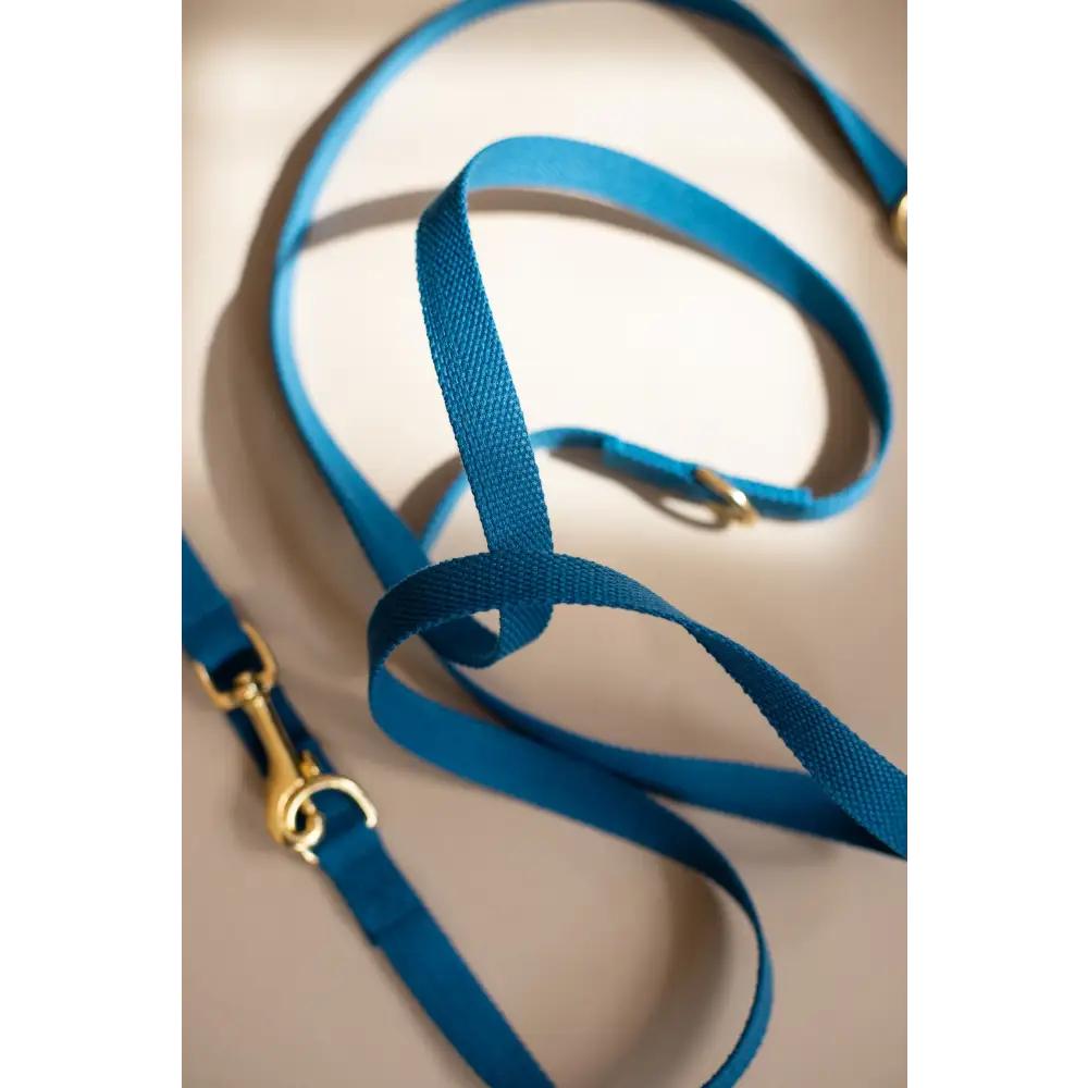 Long Cotton Multi Lead - Slim / Azure blue - Pet Collars & Harnesses