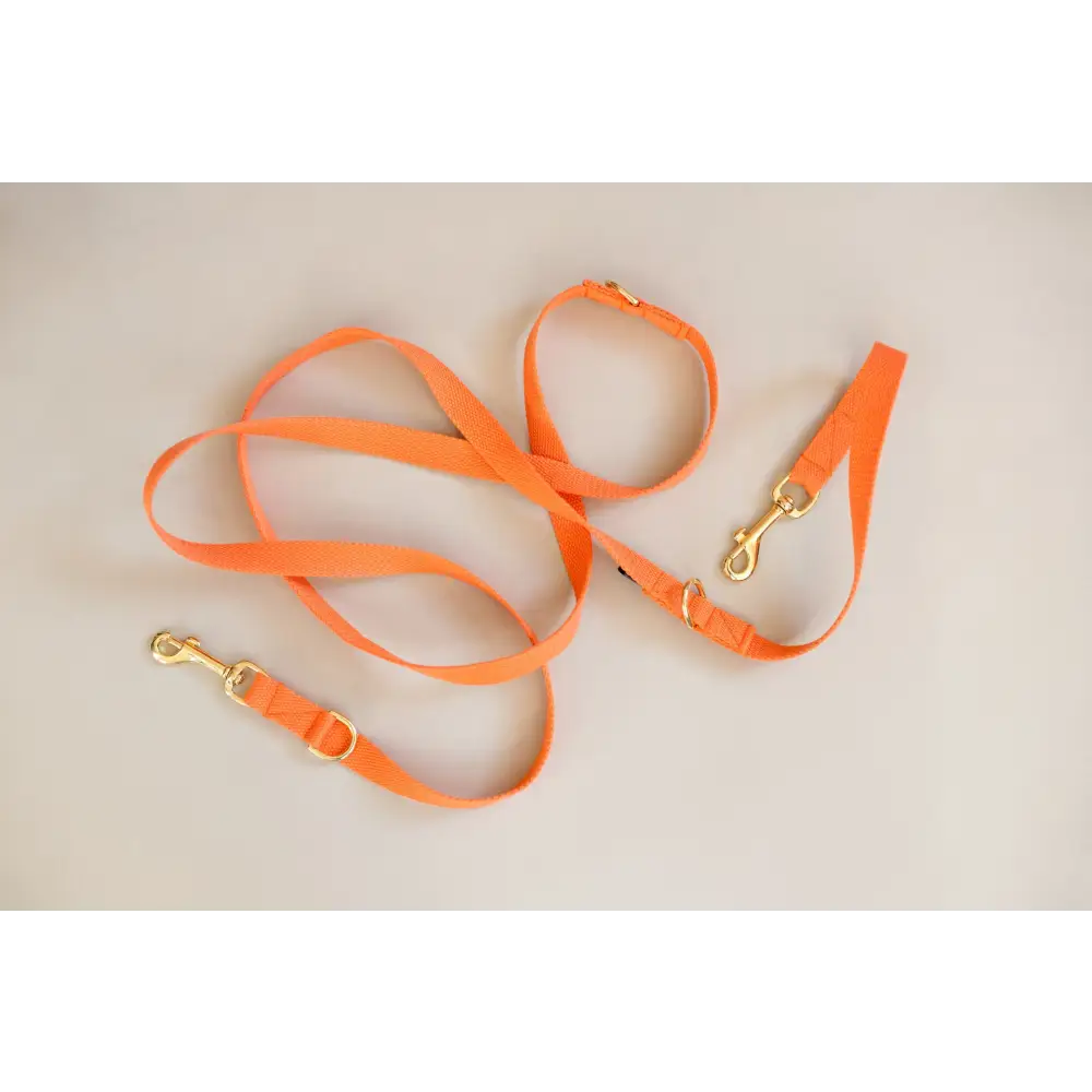 Long Cotton Multi Lead - Slim / Orange - Pet Collars & Harnesses