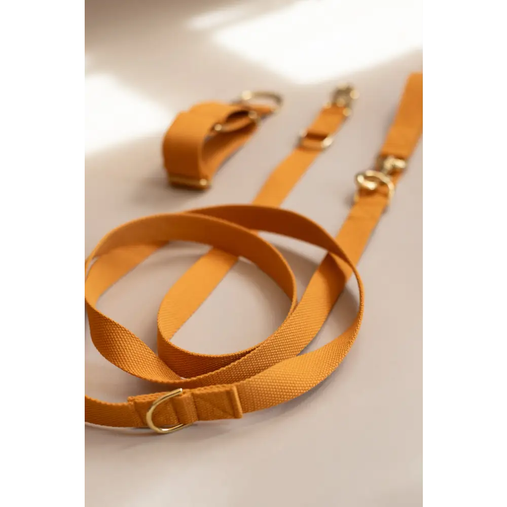 Long Cotton Multi Lead - Slim / Pumpkin - Pet Collars & Harnesses