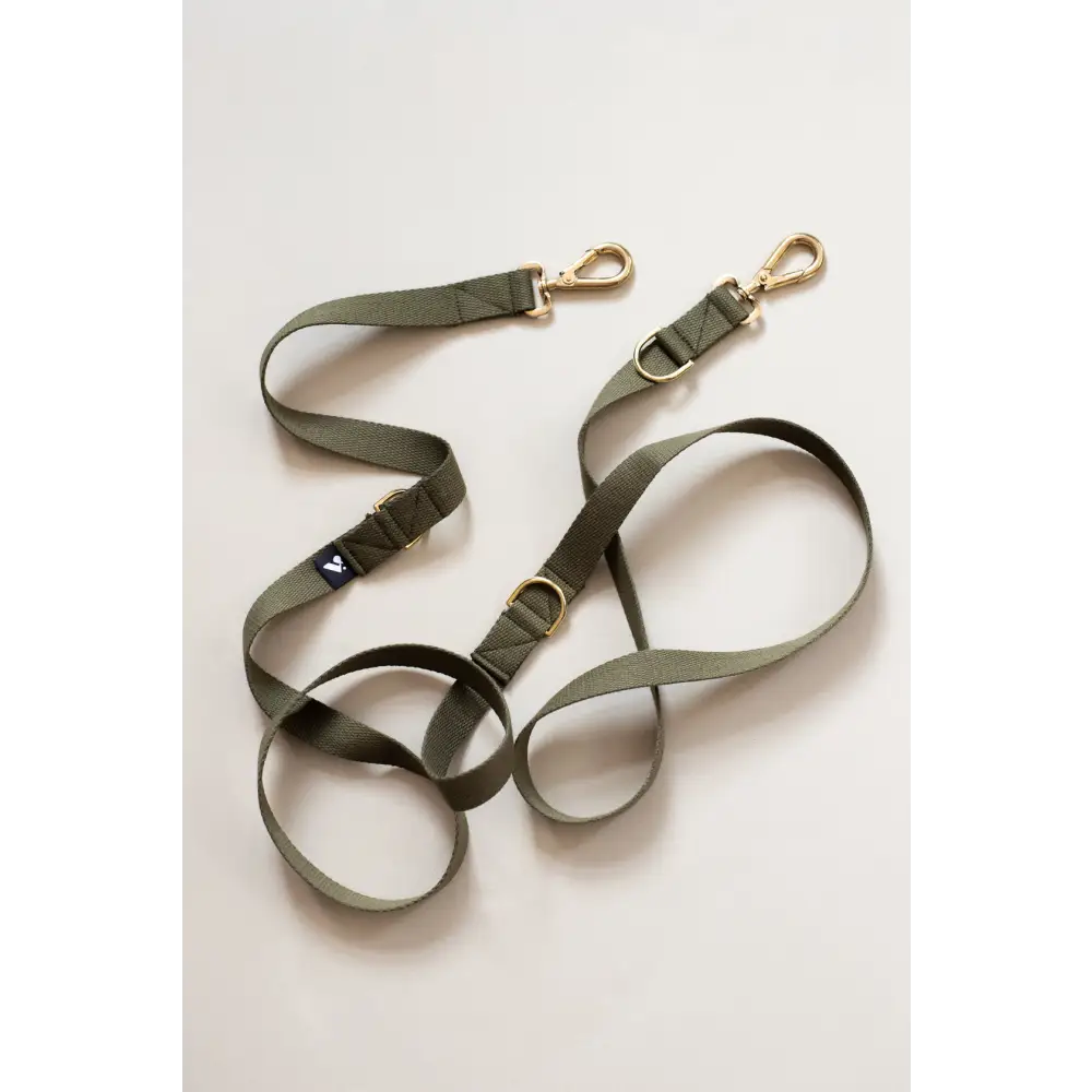Long Cotton Multi Lead - Standard / Olive - Pet Collars & Harnesses