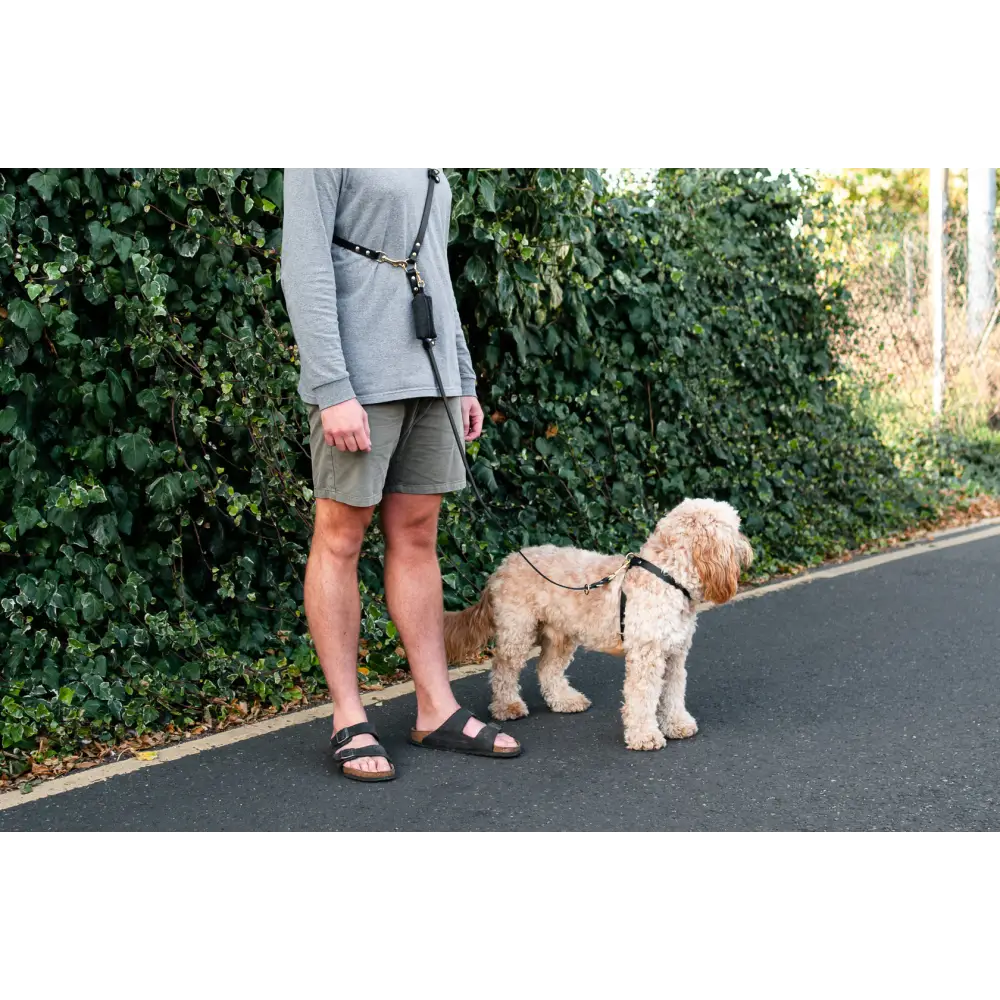Long Leather Multi Lead