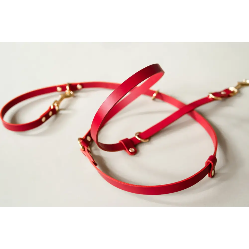 Long Leather Multi Lead
