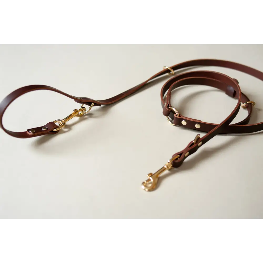 Long Leather Multi Lead - One-Size / Chestnut