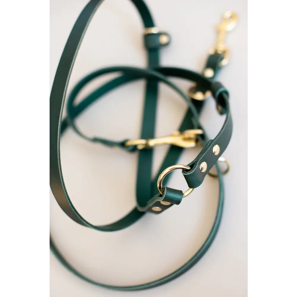 Long Leather Multi Lead - One-Size / Green