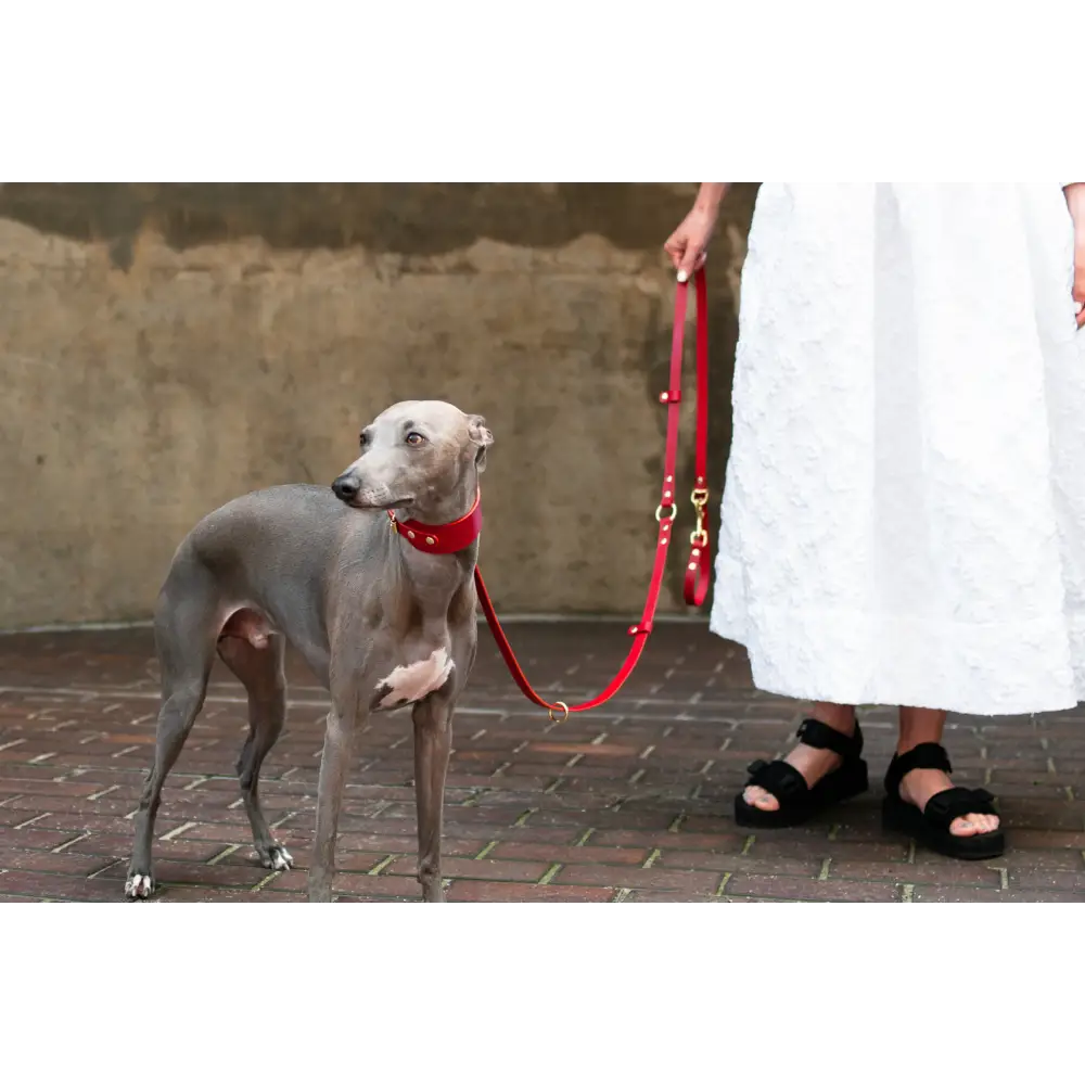 Long Leather Multi Lead - One-Size / Red