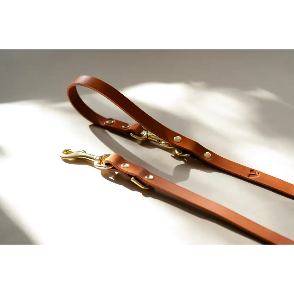 Long Leather Multi Lead - One-Size / Tan