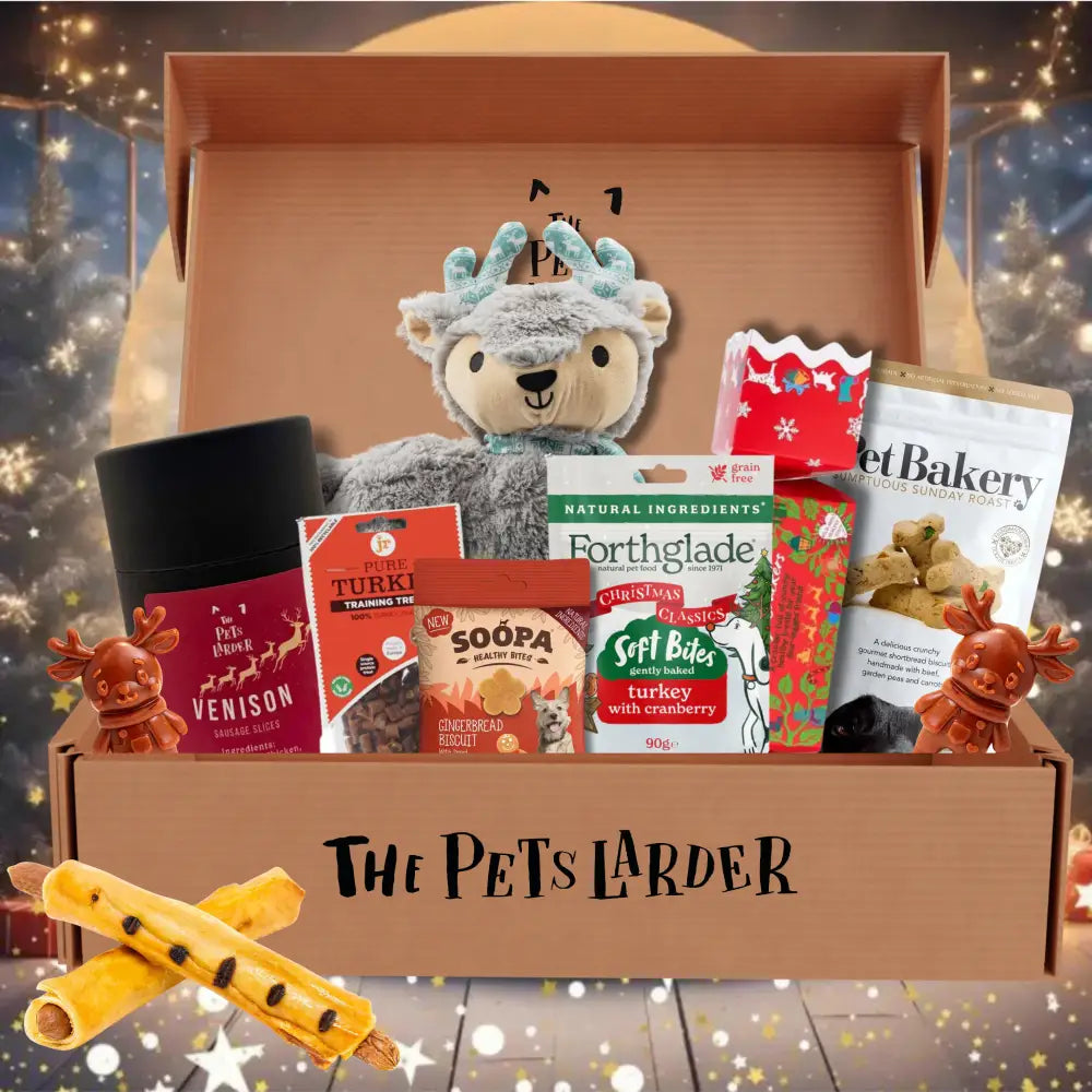 Luxury Christmas toy teddy bear plush for Pets Larder hamper