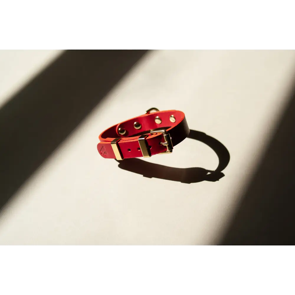 Monotone Leather Collar - Dog collar