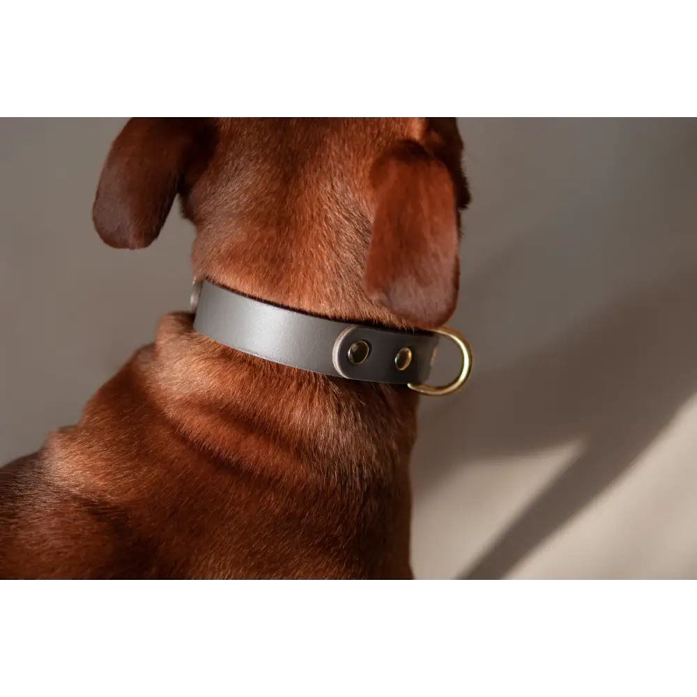 Monotone Leather Collar - X-Small / Clay - Dog collar