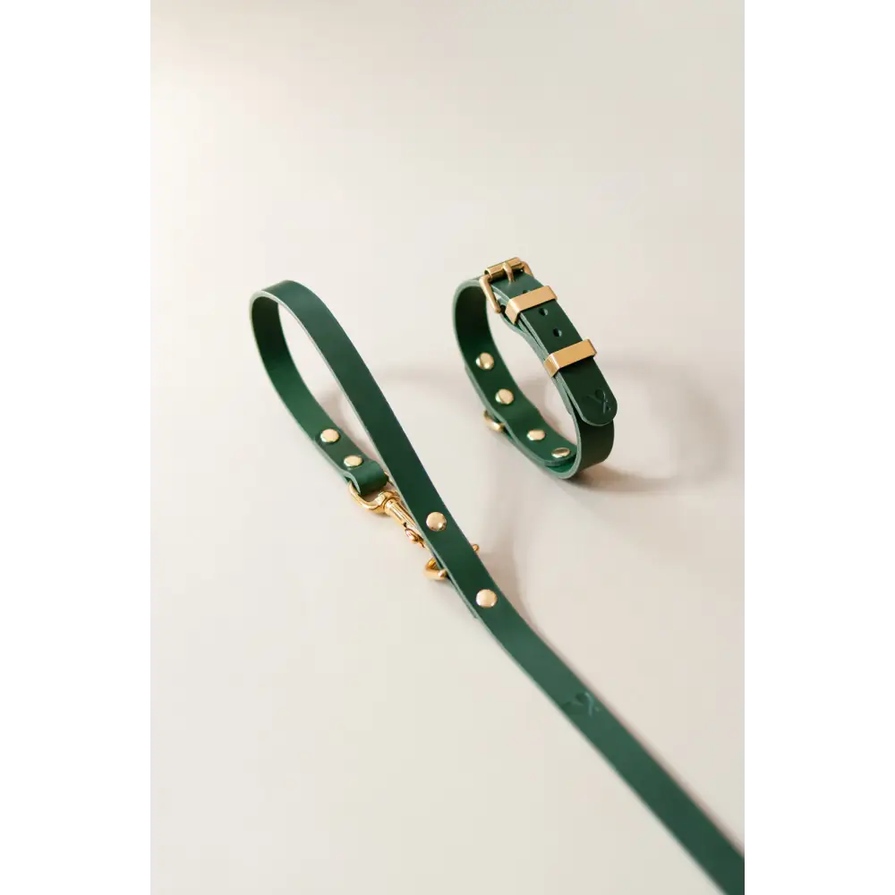 Monotone Leather Collar - X-Small / Green - Dog collar