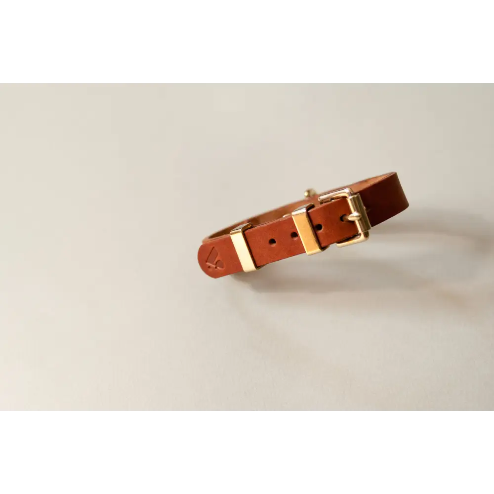 Monotone Leather Collar - X-Small / Tan - Dog collar