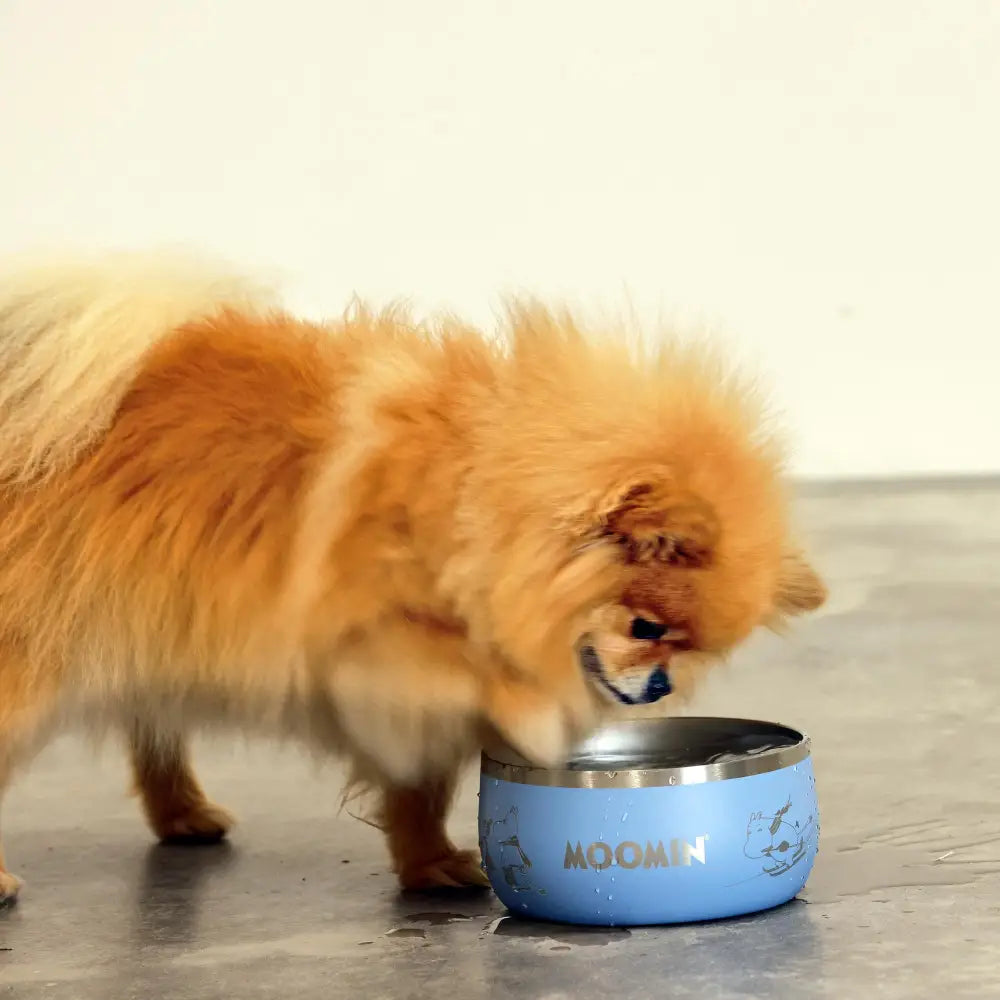 Blue Moomins dog bowl with stainless steel interior and cartoon character design by SohoPoms