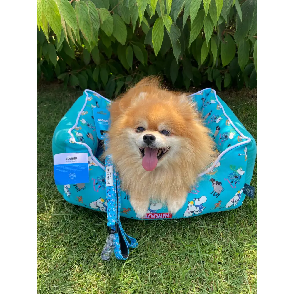 Blue dog carrier with cartoon characters and leash, ideal for small dogs on Blue Ski Holidays Bed