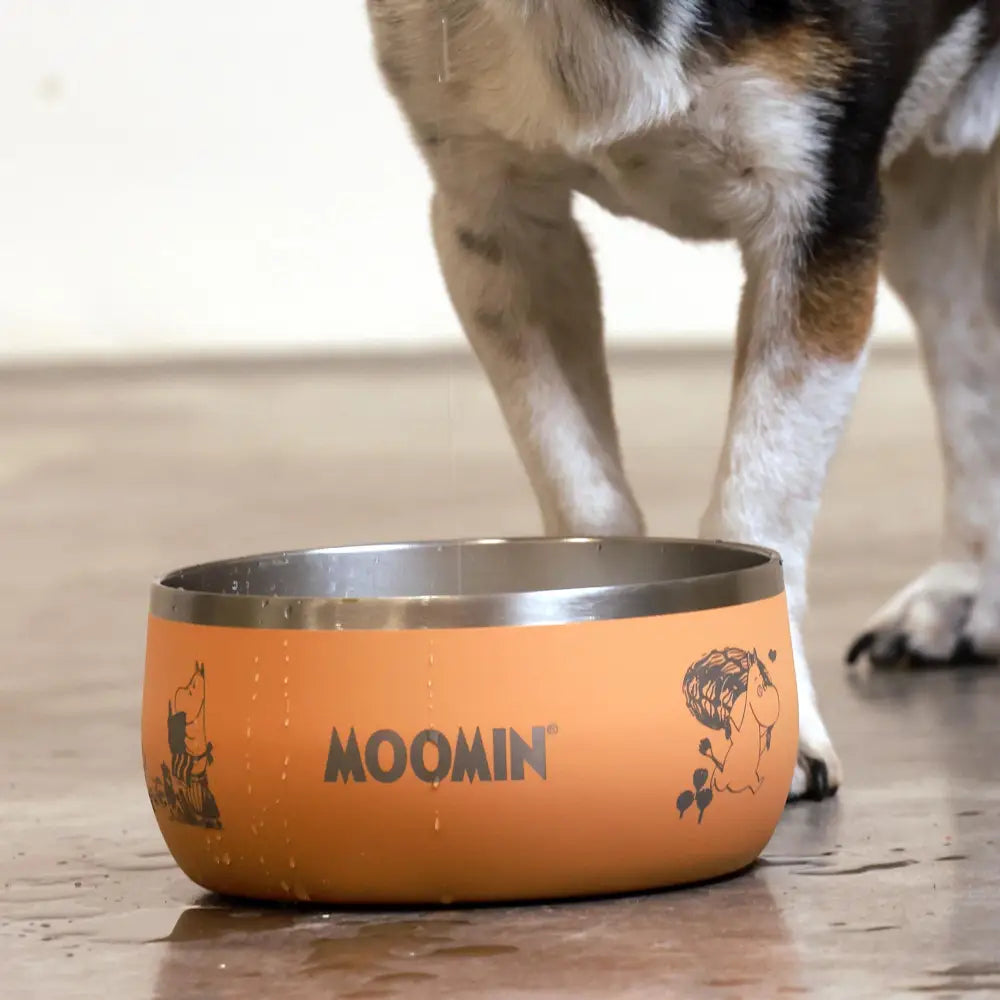 Orange Moomins Peach Lunar Bowl with stainless steel interior and whimsical illustrations for natural cat food or best dry dog food feeding