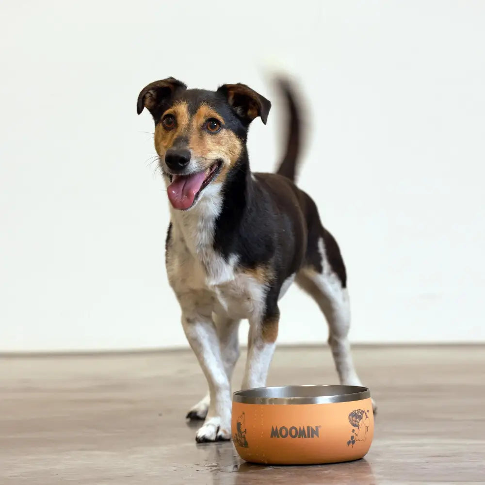Orange and silver Moomin dog bowl with floral design from SohoPoms for natural cat food