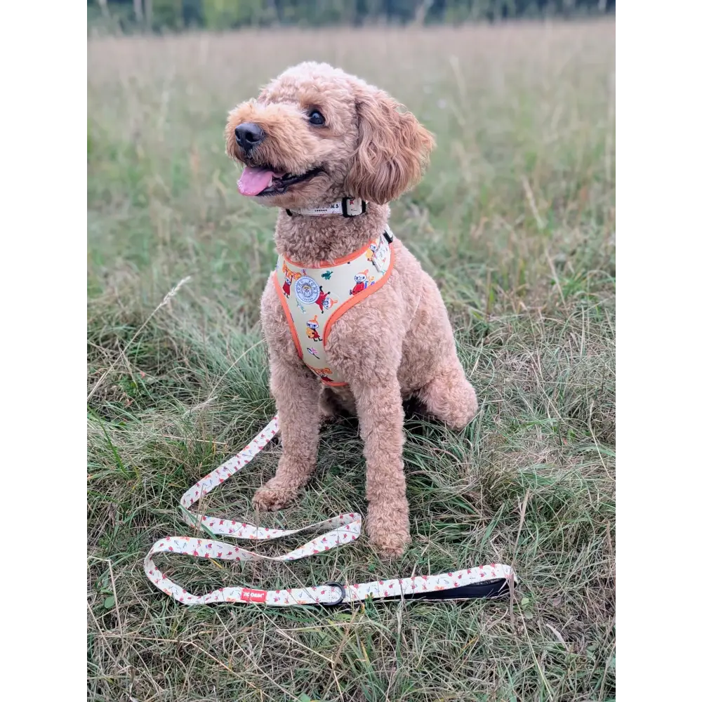 Orange and white floral nylon dog harness from Moomins Yellow Sunrise collection by Soho Poms