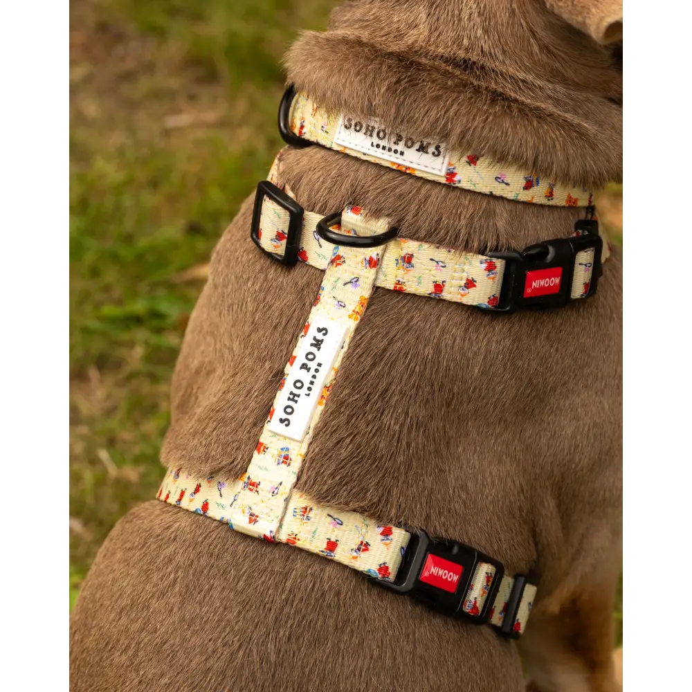 Moomins Yellow Sunrise Dogs H-Harness by Soho Poms - Dog Harnesses