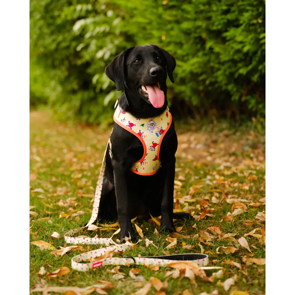 Moomins Yellow Sunrise Dogs Padded Harness by Soho Poms - Dog Harnesses