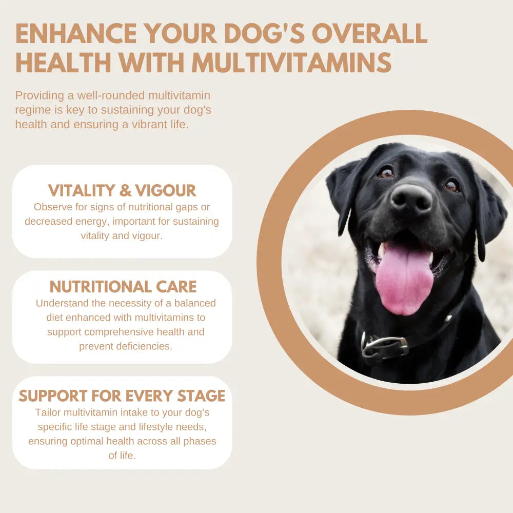 Multivitamin Treats - Multivitamin Treats