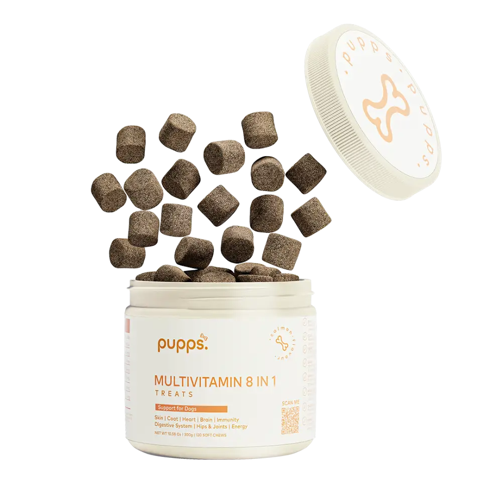 Multivitamin Treats - Multivitamin Treats