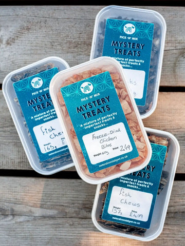 Natural Cornish Pet Mystery Treat Box