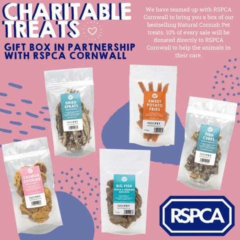 RSPCA Cornwall Charity Donations for Green Friday