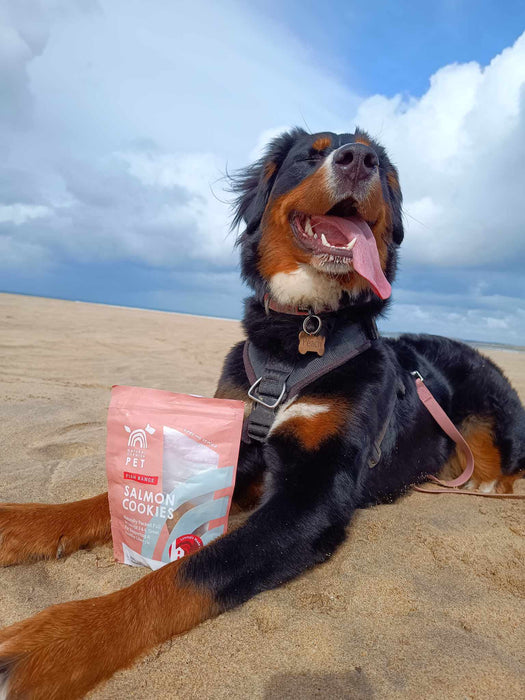 Natural Cornish Pet Salmon & Potato Cookies - Natural Treats For Dogs