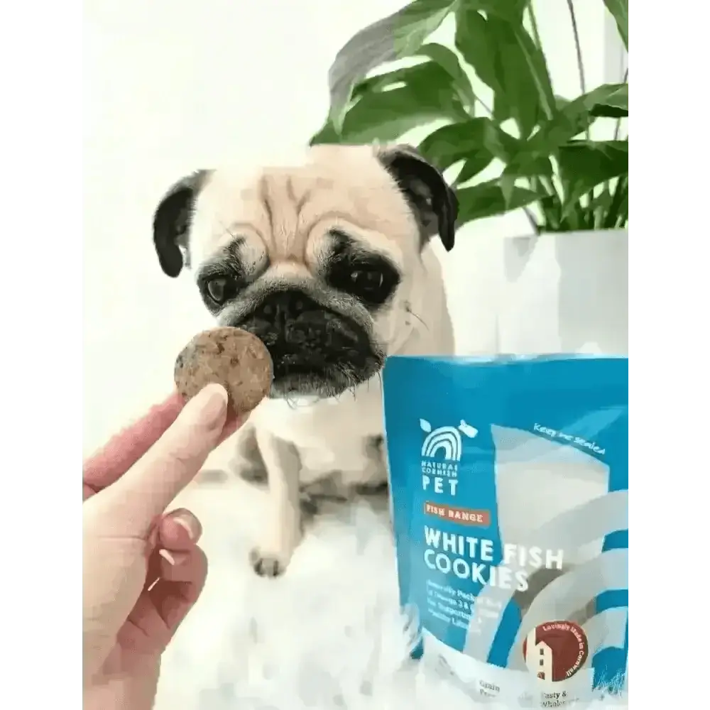 Natural Cornish Whitefish and Potato Cookies for dogs, healthy natural dog treats