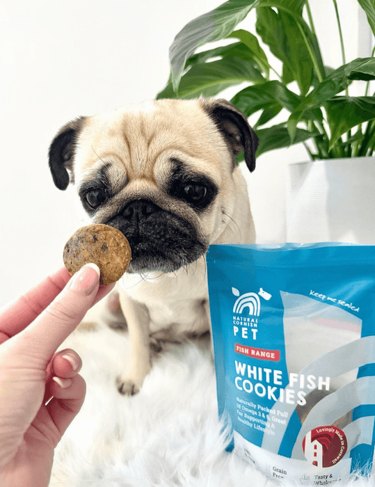 Natural Cornish Pet Whitefish & Potato Cookies - Natural Treats For Dogs