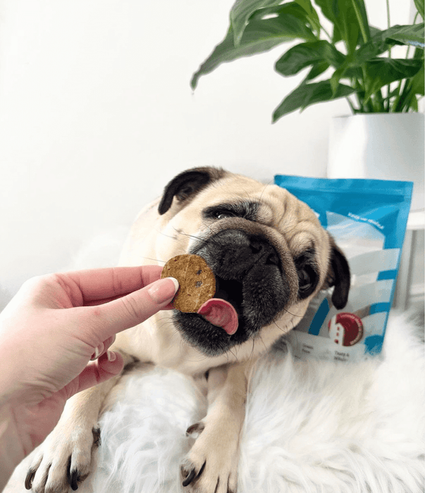 Natural Cornish Pet Whitefish & Potato Cookies - Natural Treats For Dogs