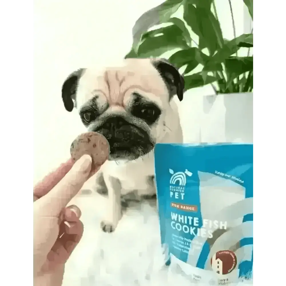 Natural Cornish Whitefish and Potato Cookies for dogs, healthy natural dog treats