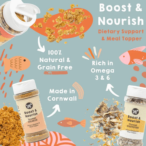 Cornish Products for Dogs on Saint Piran's Day