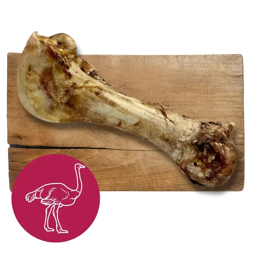 A natural, light beige and brown ostrich bone chew toy with a textured surface.