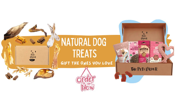 Natural Dog Treats