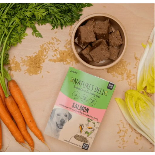 Natures Deli Salmon with Parsley & Brown Rice - Natural Wet Dog Food