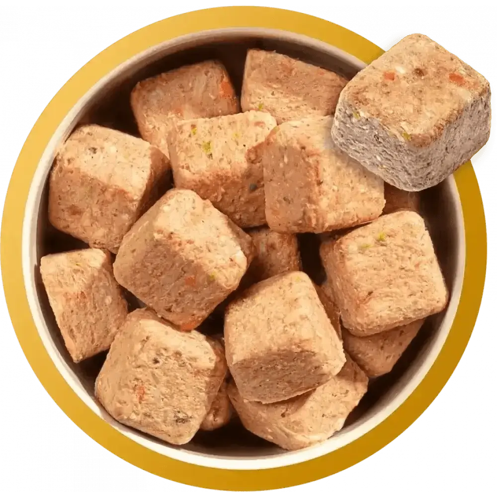 Natures Menu’s brown rice dog food treats in gold-rimmed bowl