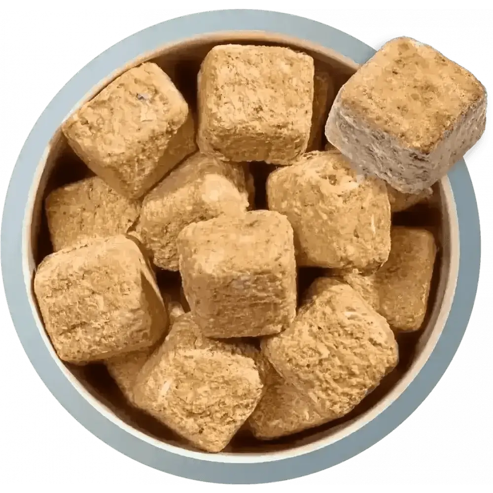 Natures Menu brown rice fish chicken dog food treats in bowl