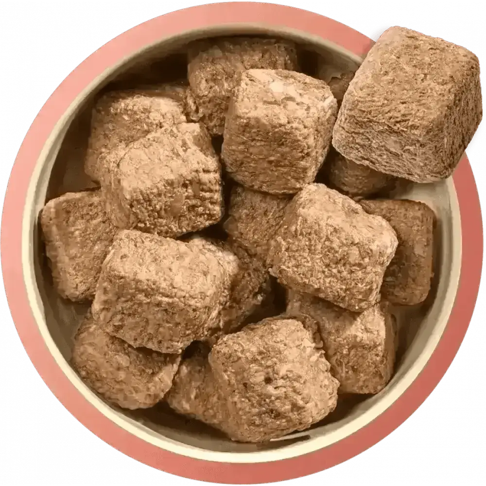 Brown cube-shaped Natures Menu dog treats with superfoods in a pink bowl for adult dogs