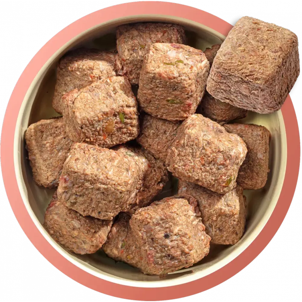 Brown cube-shaped Natures Menu dog treats with superfoods in a pink bowl for adult dogs
