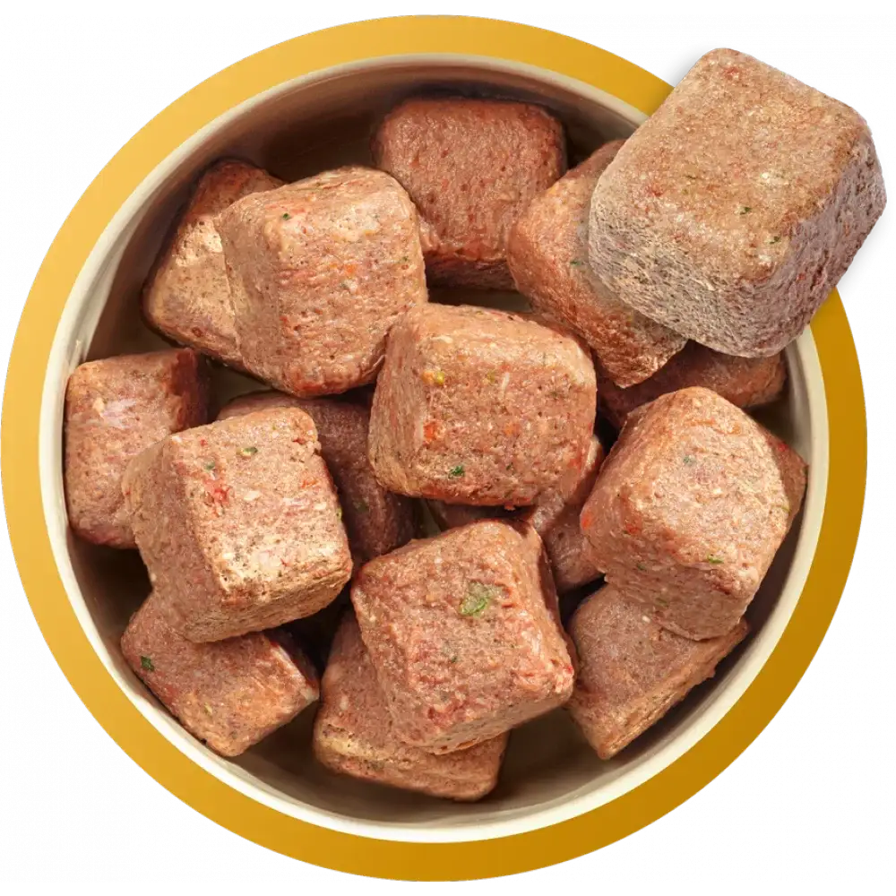 Natures Menu chicken nuggets for dogs in a yellow-rimmed bowl, single protein treats