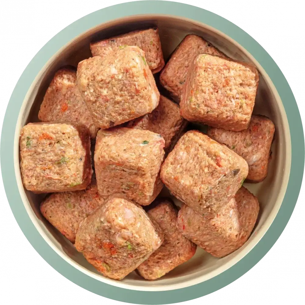 Brown cube-shaped dog treats in a teal bowl from Natures Menu 80/20 Duck and Chicken with Superfoods for adult dogs, supporting dog’s digestive wellbeing